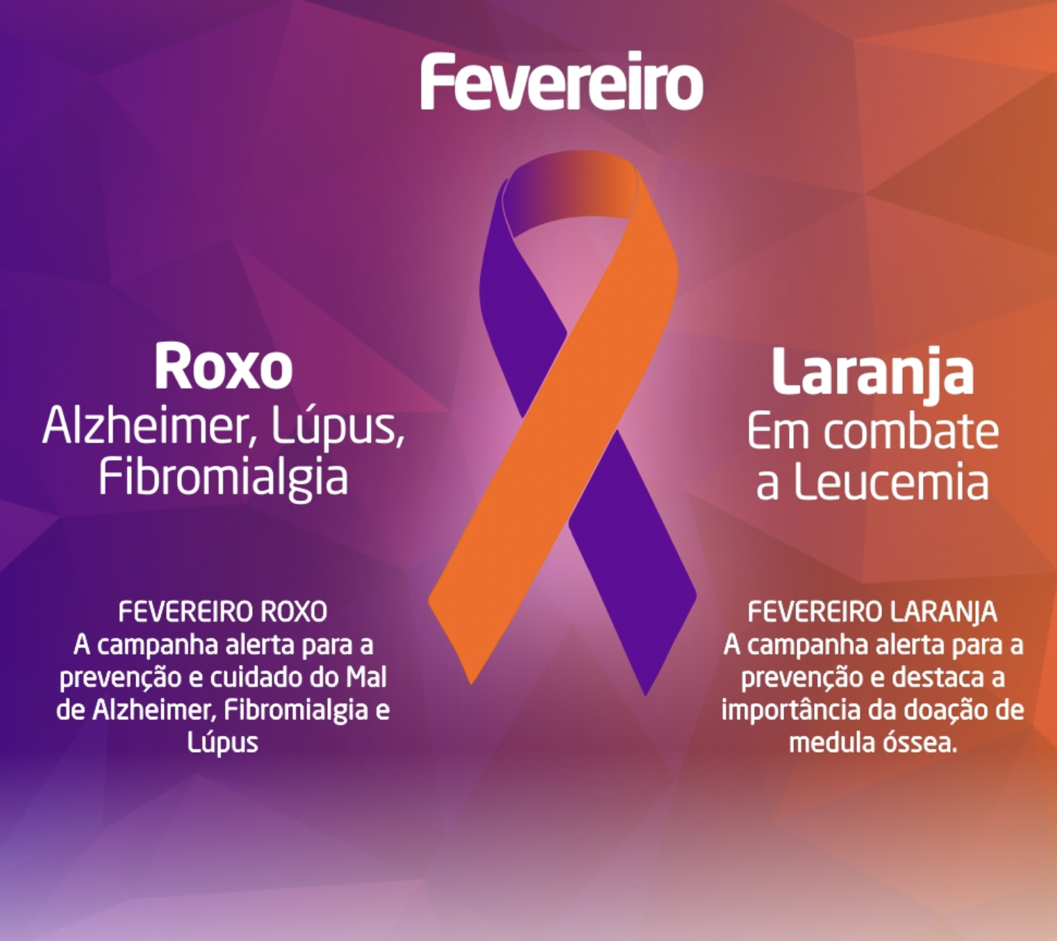 CAMPANHA FEVEREIRO